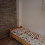 U Chlebkow مزرعة للإقامة Ochotnica Górna