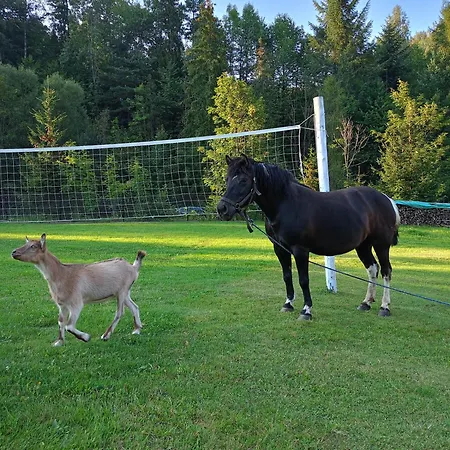 Çiftlik konaklama U Chlebkow
