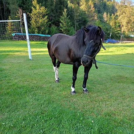 Çiftlik konaklama U Chlebkow Ochotnica Górna