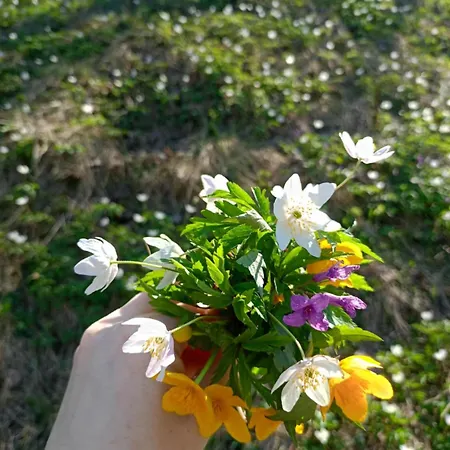 U Chlebkow Çiftlik konaklama *