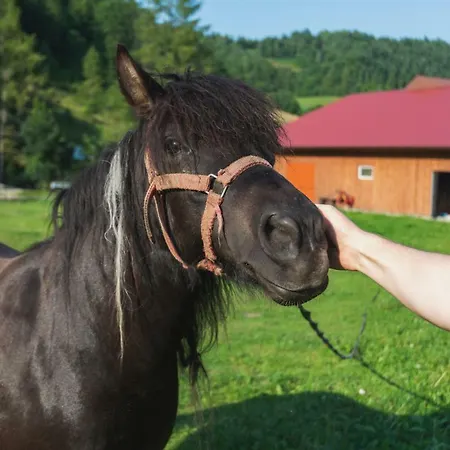 U Chlebkow Çiftlik konaklama