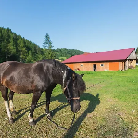 U Chlebków * Ochotnica Górna