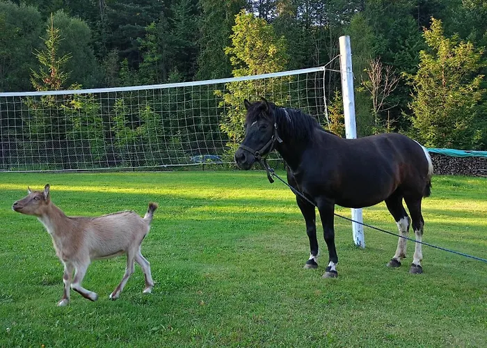 Alloggio per agriturismo U Chlebkow