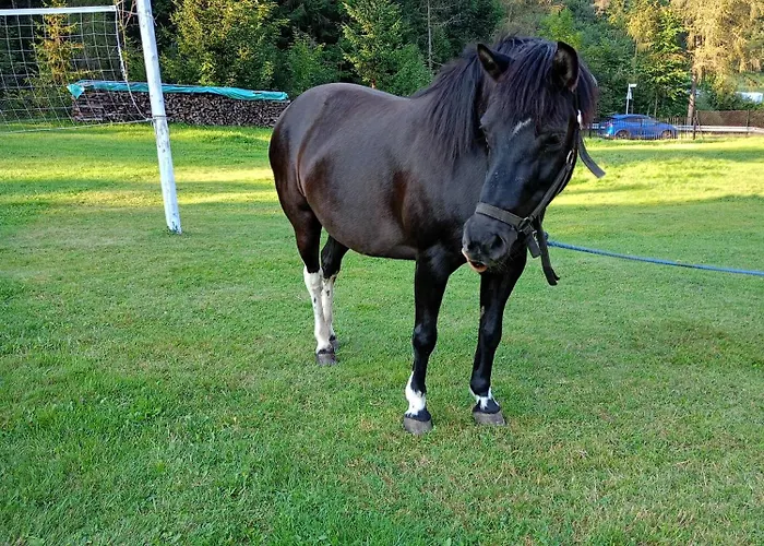 Séjour à la ferme U Chlebkow Ochotnica Górna