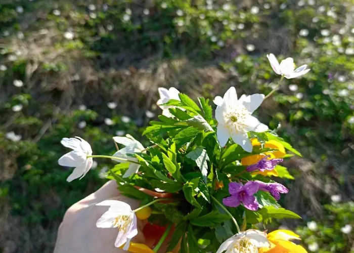 U Chlebkow Alloggio per agriturismo *