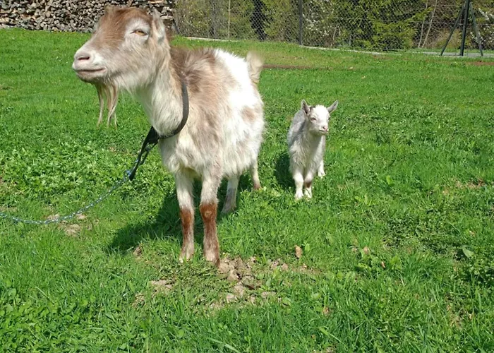 Séjour à la ferme U Chlebkow Ochotnica Górna