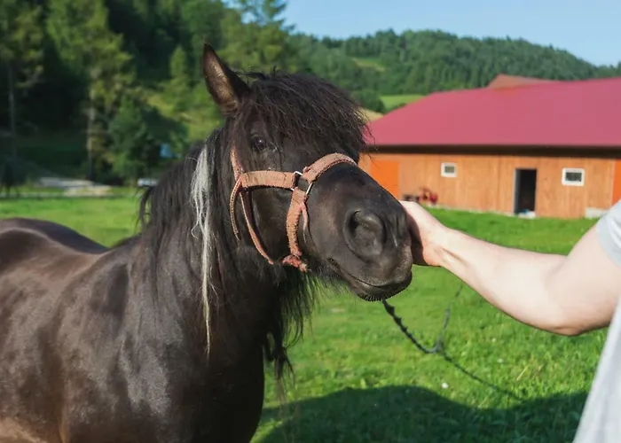 U Chlebkow Séjour à la ferme