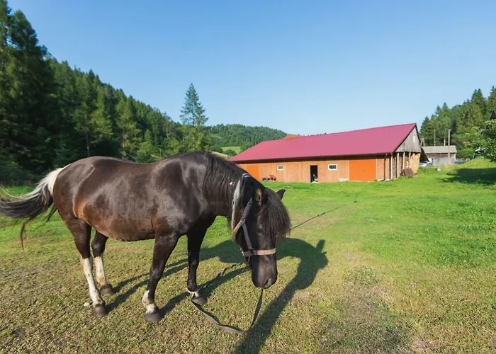 U Chlebkow * Ochotnica Górna